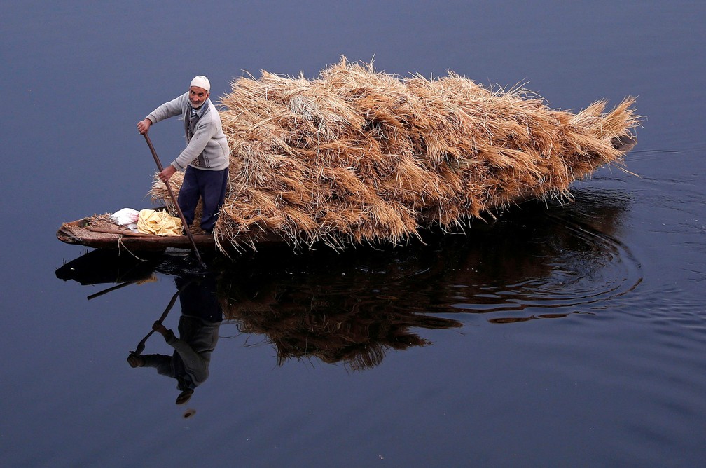 Um homem rema seu barco cheio de palha nas águas do lago Nageen em uma manhã fria em Srinagar, na Índia (Foto: Danish Ismai/Reuters)