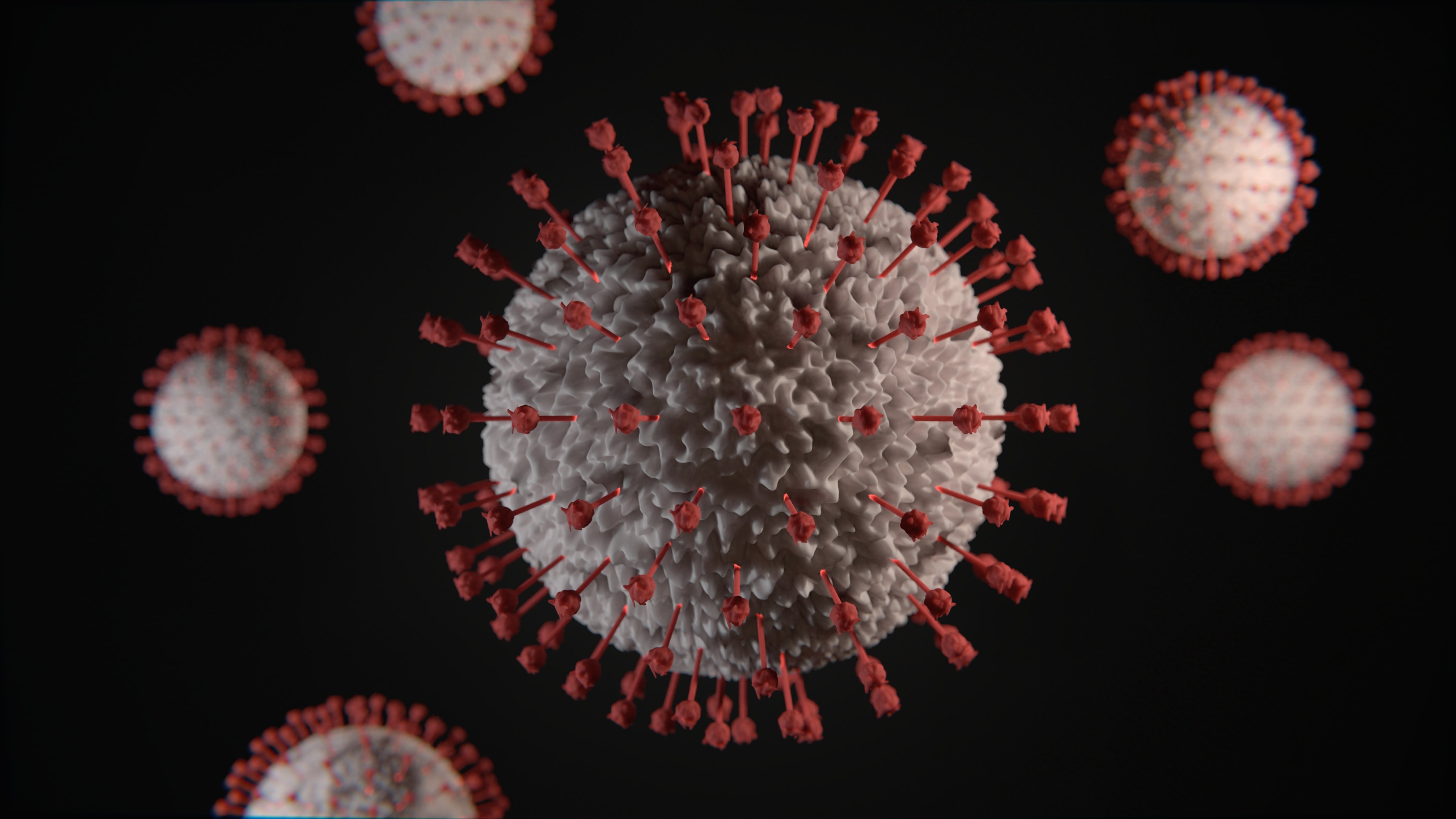 A ligação entre o coronavírus e a vimentina também se dá por meio da proteína spike do vírus (Foto: Unsplash)