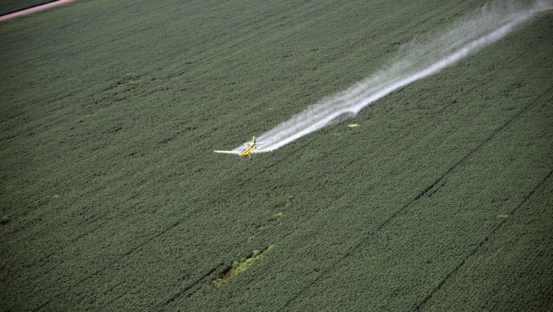 agricultura-aviacao-agricola (Foto: Emiliano Capozoli/Ed. Globo)