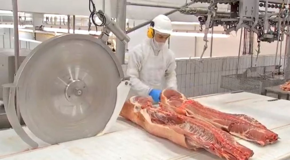 Acordo dÃ¡ acesso Ã  carne suÃ­na brasileira Ã  UniÃ£o Europeia â€” Foto: ReproduÃ§Ã£o/TV Morena