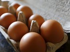 Exportações de ovos em 2015 devem crescer 70% ante 2014, diz ABPA