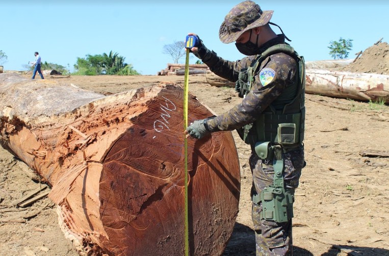 Agentes fiscalizam madeireiras de Buritis, RO, em ação contra desmatamento ilegal e queimadas thumbnail