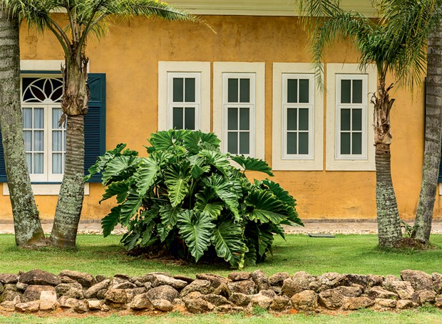 O maciço de guaimbê-ondulado se destaca na fachada desta fazenda com projeto de Odilon Claro, da Anni Verdi (Foto: Edu Castello/Editora Globo)