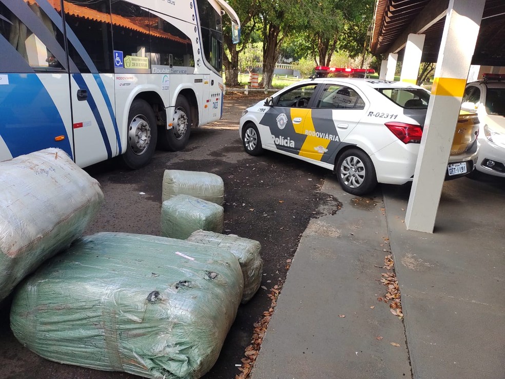 Mercadorias estavam dentro de 14 volumes no bagageiro do ônibus em Assis — Foto: Polícia Rodoviária/Divulgação