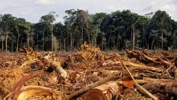 Dados do Inpe mostram aumento no desmatamento na Amazônia em outubro de 2021 em comparação com o ano passado. Área destruída é recorde para o mês desde o início da série histórica, em 2016 (Foto: Getty Images via BBC News)
