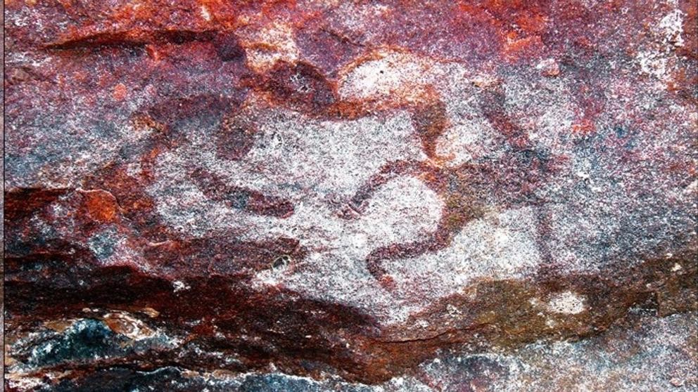 Arte rupestre de 500 anos teria sido feita com cera de abelha (Foto: Reprodução)