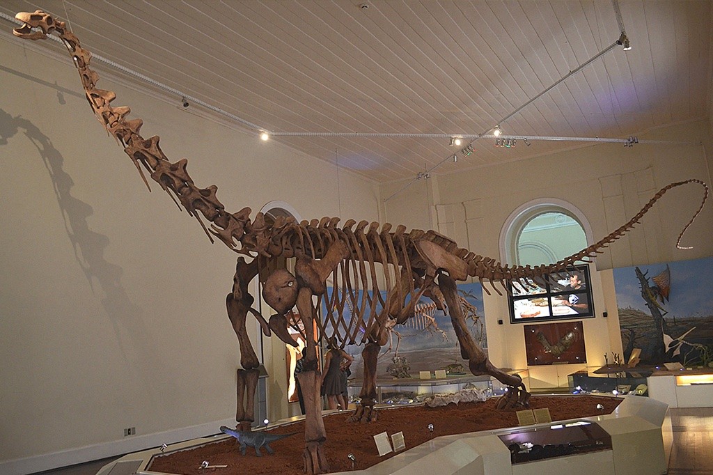  Ossada de dinossauro no Museu Nacional, na Quinta da Boa Vista, Zona Norte do Rio de Janeiro (Foto:  GeoPotinga/ Wikimedia Commons/ CreativeCommons)