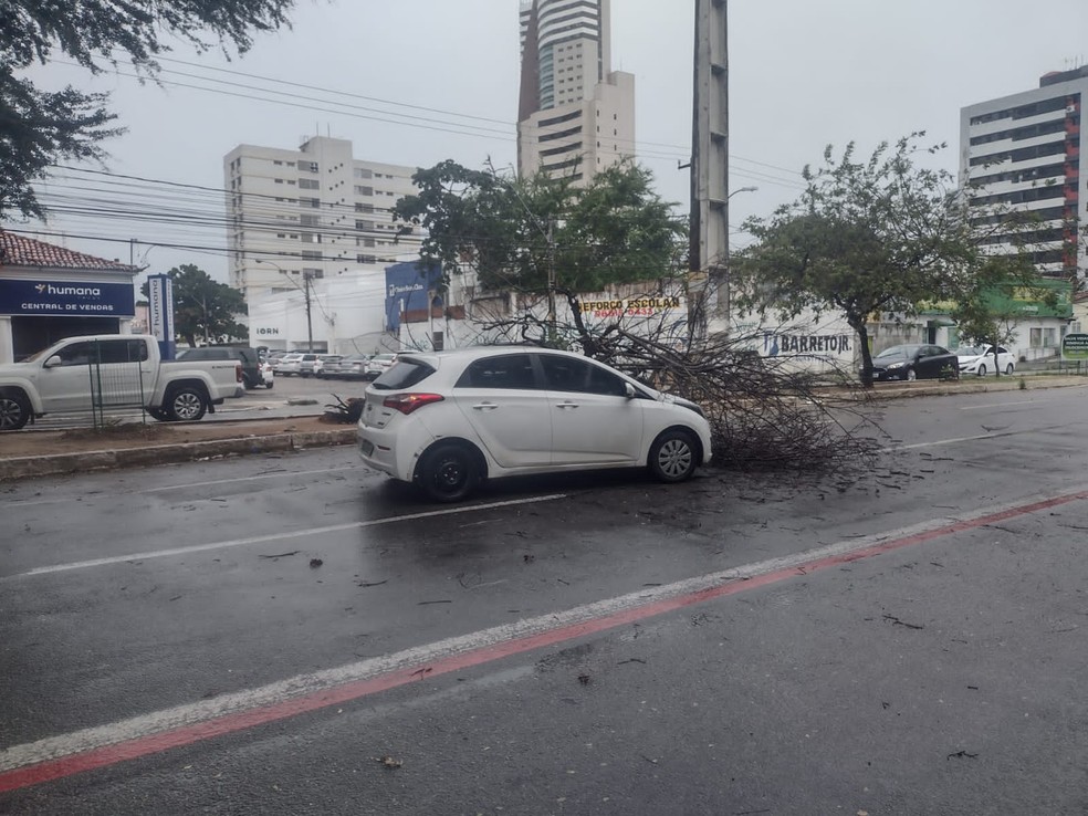 Árvore seca cai sobre carro na avenida Prudente de Morais, em Natal — Foto: Luciano Silva