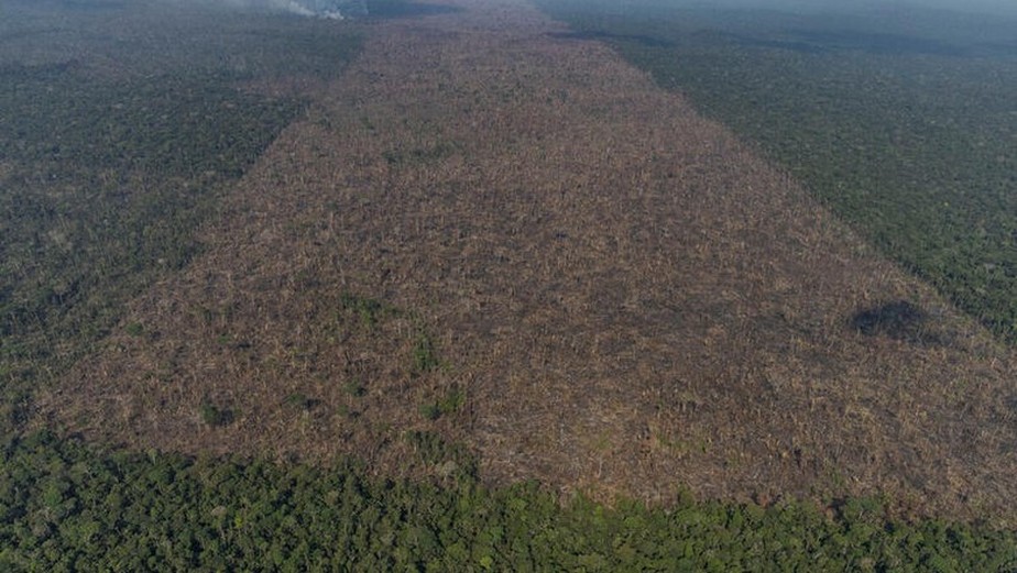 Vista aérea de um desmatamento na Amazônia em Lábrea, Amazonas. (Foto: Victor Moriyama/Amazônia em Chamas)