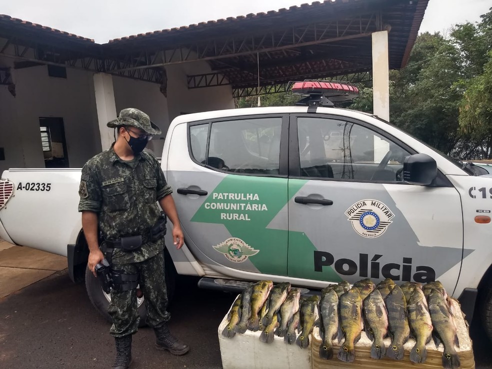 Mais de 40 kg de peixes foram apreendidos e doados — Foto: Polícia Ambiental