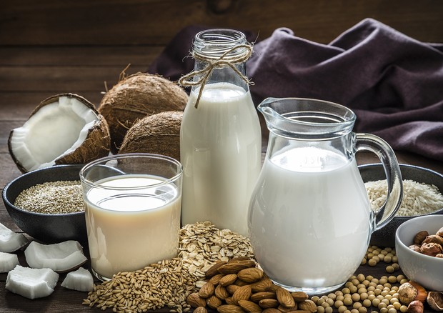 Front view of a drinking glass, a bottle and a jug filled with fresh organic vegan milks surrounded by oat flakes, soy beans, quinoa seeds, rice grains, spelt grains, hazelnuts, almonds and coconuts pieces. Low key DSLR photo taken with Canon EOS 6D Mark  (Foto: Getty Images)