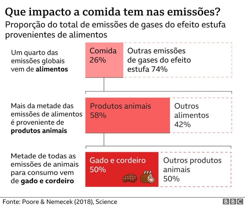 Gráfico (Foto: BBC News Brasil)