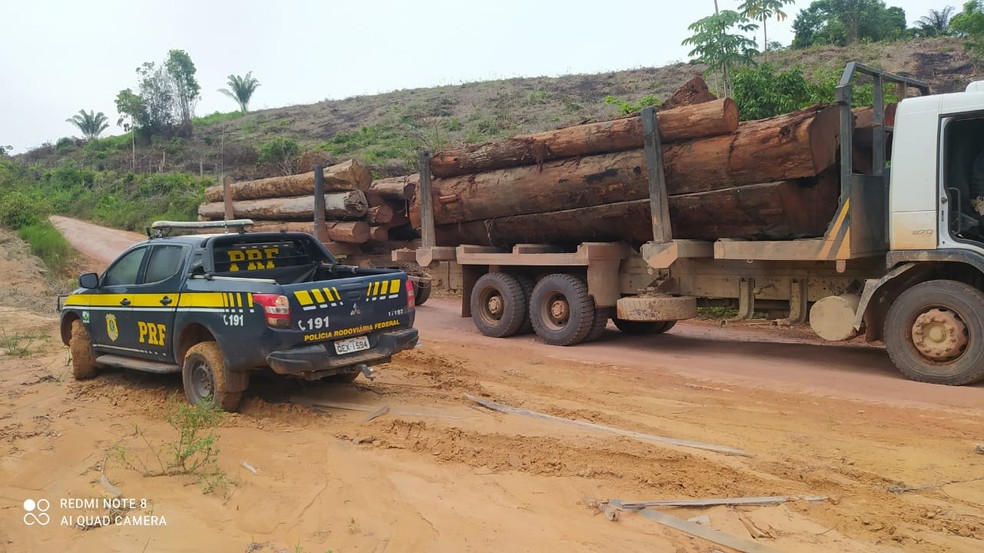 PRF apreende cerca de 30m³ de madeira ilegal em Marabá, sudeste do Pará — Foto: Polícia Rodoviária Federal