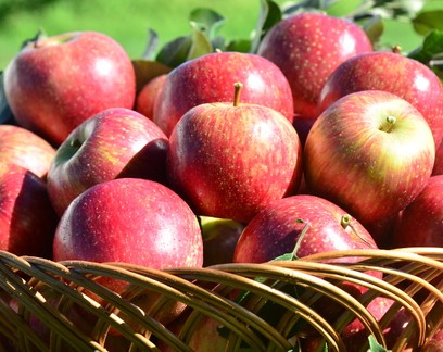 Pectina: o que é e para que serve a fibra presente em maçã e frutas cítricas