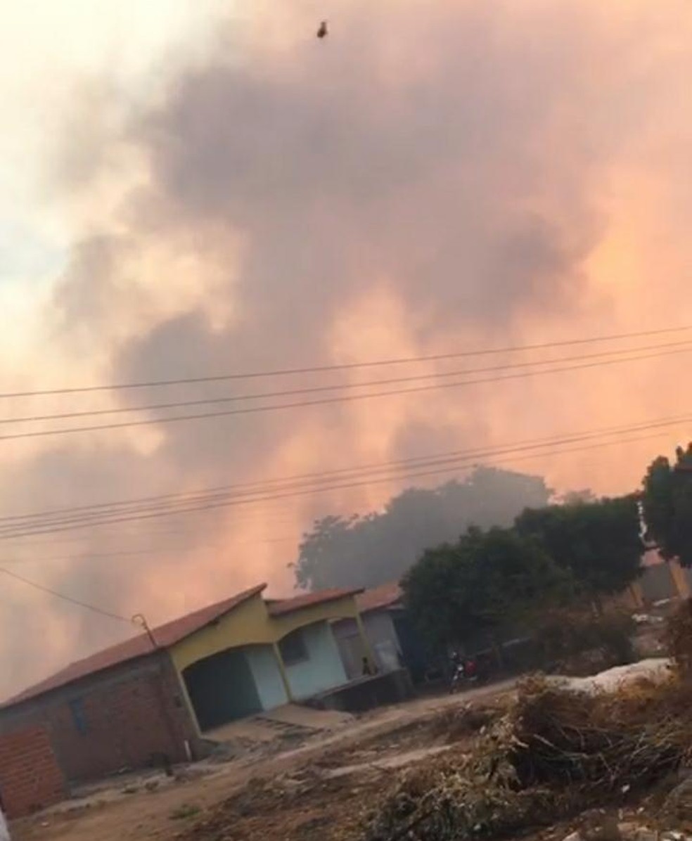 Moradores registram queimadas na cidade de Geminiano, no Piauí — Foto: Reprodução
