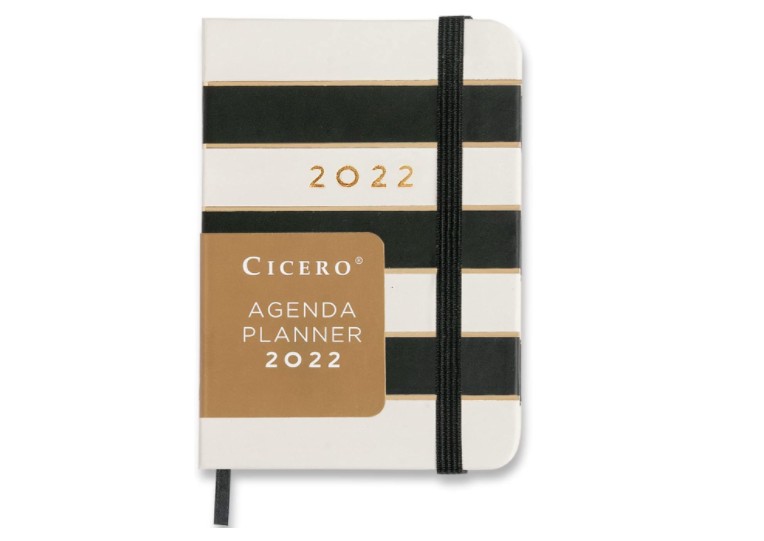 Planner Cicero (Foto: Reprodução/Amazon)