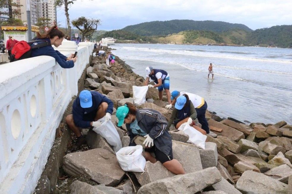 Retirada de resíduos foi feita na faixa de areia e no costão de pedras — Foto: Divulgação/Prefeitura de Santos
