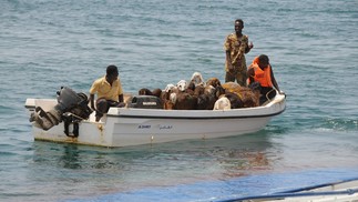 Donos de ovelhas usam barcos para resgatar animais de navio que afundou — Foto: AFP