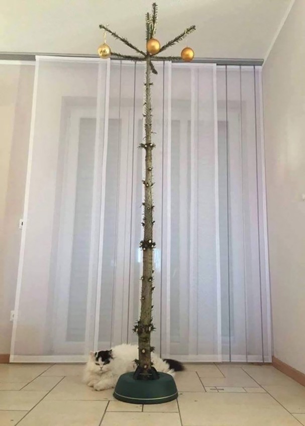 10 deias geniais para proteger sua árvore de natal dos cachorros e gatos (Foto: Reprodução) 10 deias geniais para proteger sua árvore de natal dos cachorros e gatos (Foto: Reprodução)