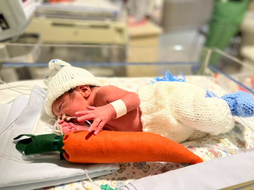 Beb&ecirc;s da UTI neonatal s&atilde;o vestidos de coelhos &mdash; Foto: Hospital Divina Provid&ecirc;ncia / Divulga&ccedil;&atilde;o