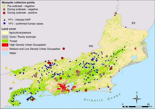 Com ampla base de dados, pesquisa mapeou locais de infecção de pessoas, macacos e vetores, populações de mosquitos e tipos de paisagem no RJ (Foto: Filipe Abreu e colaboradores)