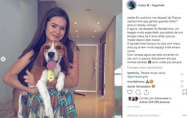 Maisa Silva lamenta morte de seu cachorrinho Bandeirinha (Foto: Reprodução/Instagram)