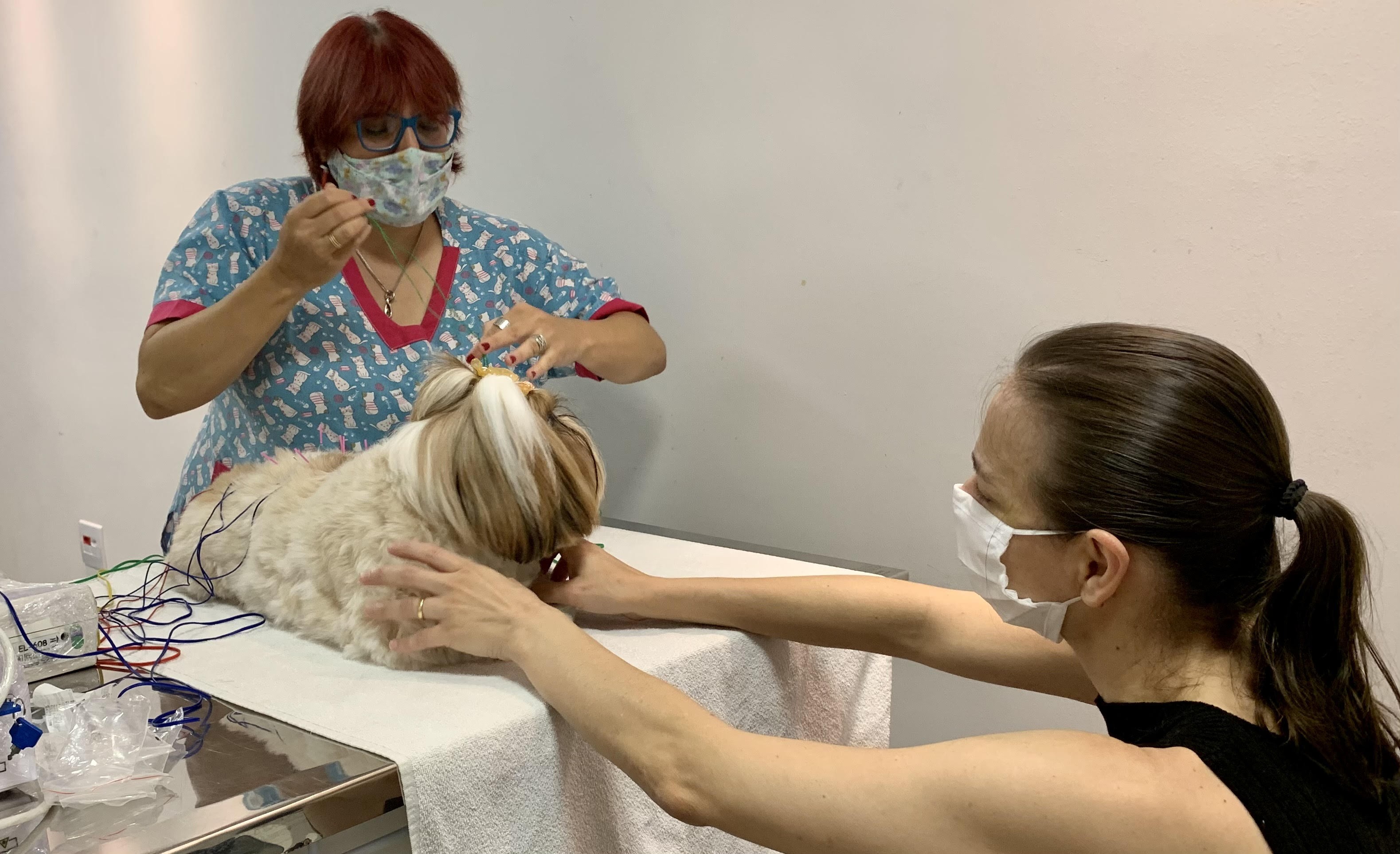 A médica veterinaria Renata (...) atendeu a cachorra Cacau com a companhia da responsável, Albina.   (Foto: Carina Gonçalves)