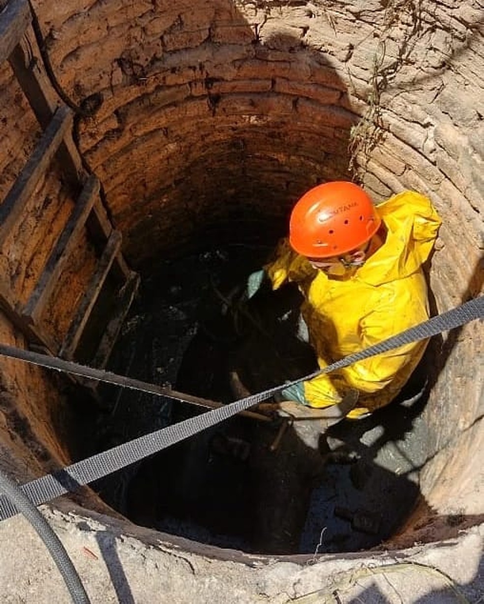 Vaca cai em fossa e é resgatada por bombeiros na Grande Natal — Foto: Cedida