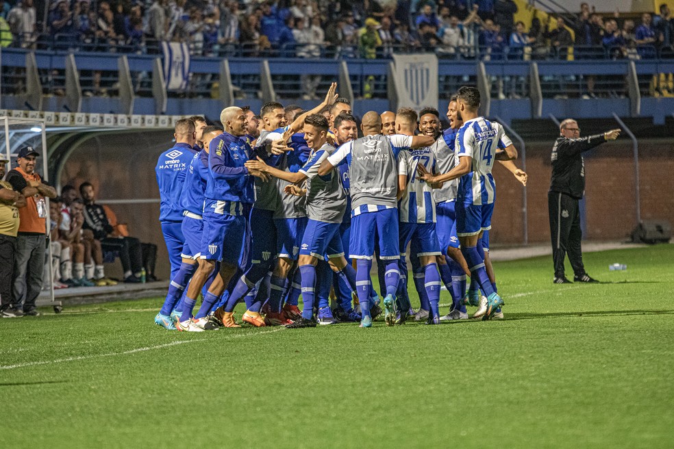 Leão da Ilha precisa melhorar aproveitamento para ficar na Série A — Foto: Frederico Tadeu/Avaí F.C.