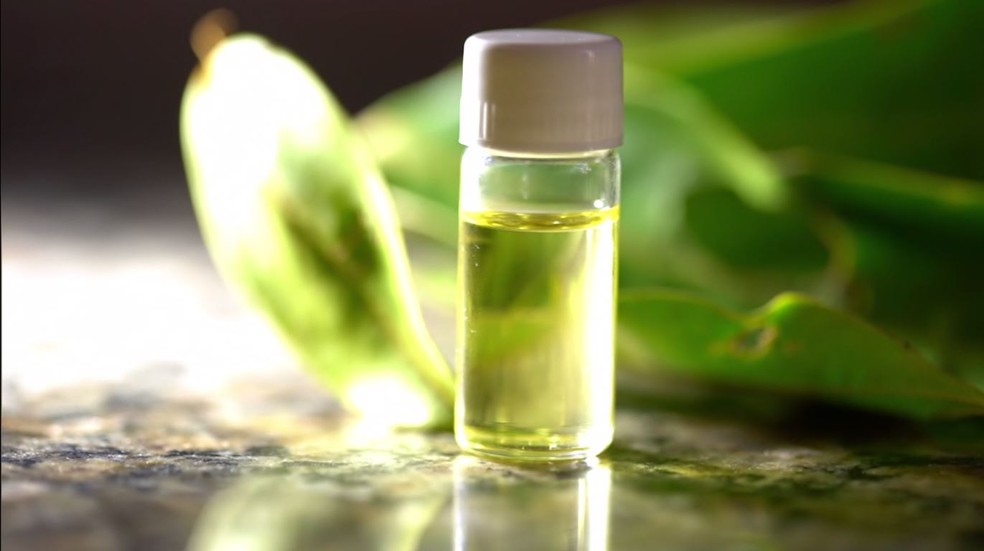 Linalol, substância extraída da planta, é usado como fixador de perfumes.  — Foto: globo reporter
