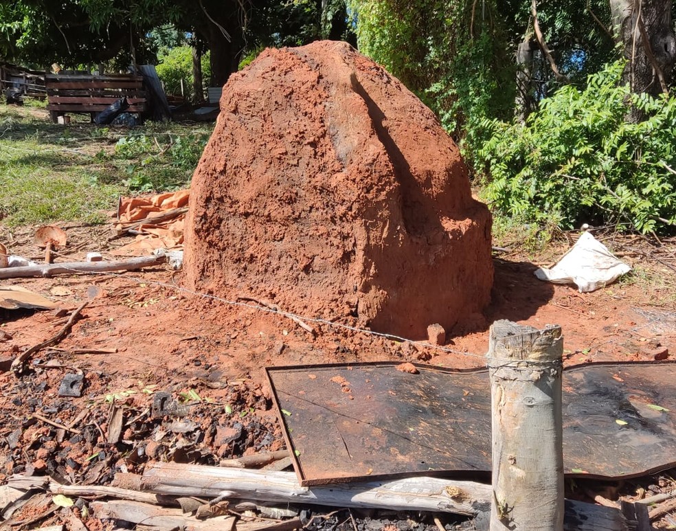 Polícia Ambiental apreende 350kg de carvão vegetal irregular em Presidente Bernardes (SP) — Foto: Polícia Militar Ambiental
