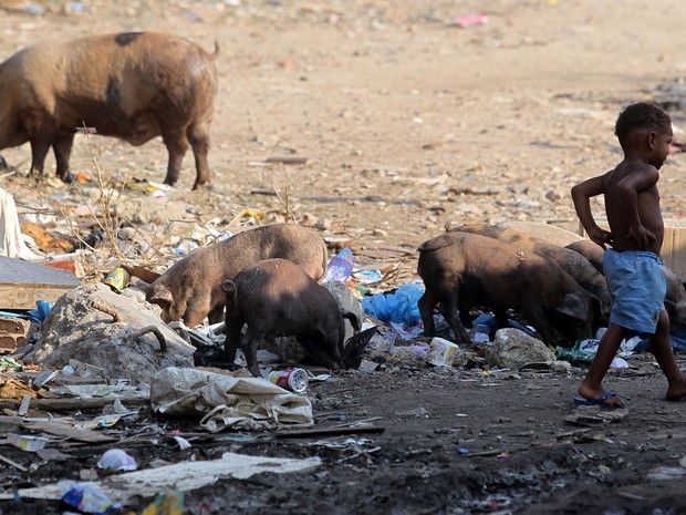 Crianças andam no meio do lixo e dos porcos (Foto: Marcos de Paula / G1)