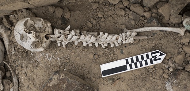 Vértebra inserida em um crânio, como encontrado dentro das chullpas, as sepulturas desses povos (Foto: Reprodução/UEA News)