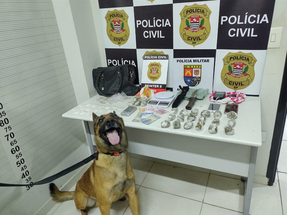 Idosa foi presa por esconder drogas em sua casa, na Vila Líder, em Presidente Prudente (SP) — Foto: Polícia Civil