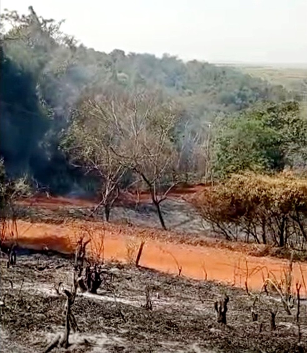 Incêndio atinge área de mata nativa em Macatuba — Foto: Corpo de Bombeiros/Divulgação