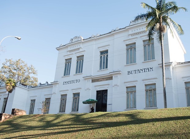 O Instituto Butantan fica localizado adjacente ao campus Cidade Universitária da Universidade de São Paulo (Foto: Pixabay / Ariane Pergon / CreativeCommons)