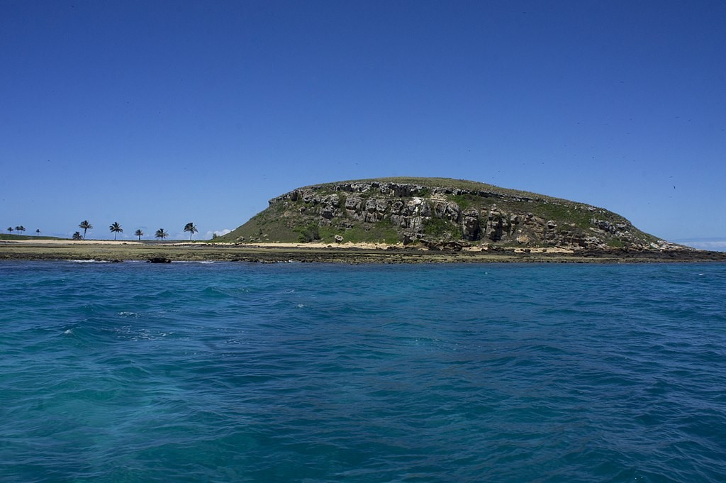 Ilha Redonda em Abrolhos, na Bahia (Foto: Munique Bassoli/Wikimedia Commons)