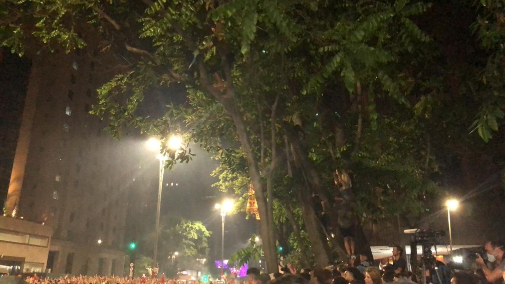 Pessoas sobem em árvores para ver Lula na Avenida Paulista — Foto: Carlos Henrique Dias/g1