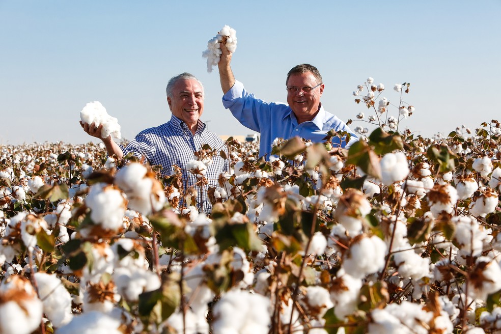 Presidente Michel Temer e ministro Blairo Maggi durante a abertura da colheita do algodão em Lucas do Rio Verde (Foto: Alan Santos/PR)