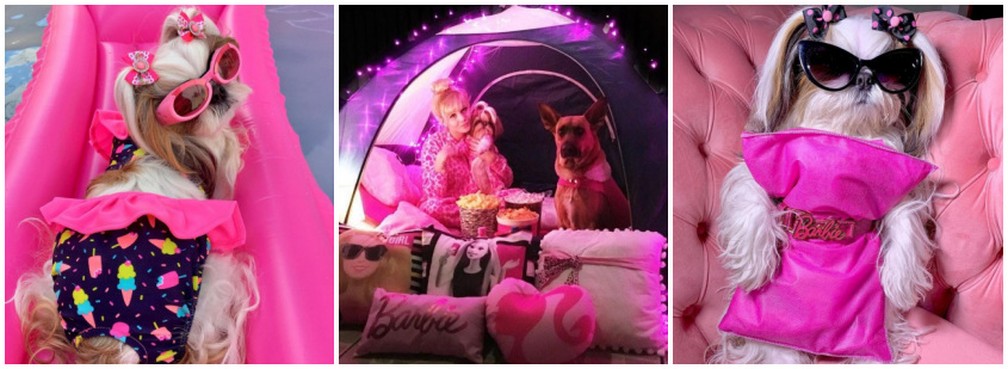 Cachorrinha da Bruna Barbie, a Pérola, também é famosa nas redes — Foto:  Arquivo pessoal/Bruna Barbie
