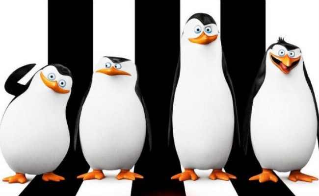 Pinguins (Foto: Divulgação)