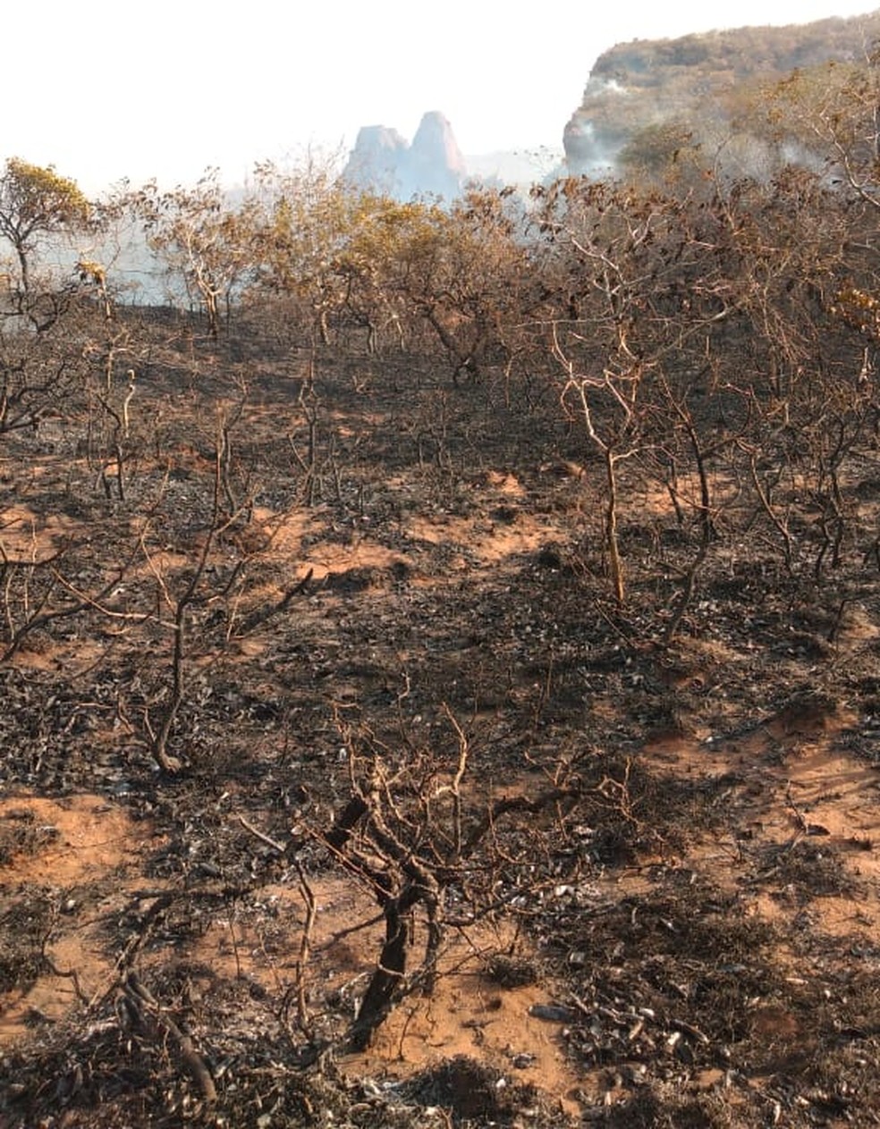 Cerca de mil hectares foram destrudos pelo fogo.  Foto: ICMBio
