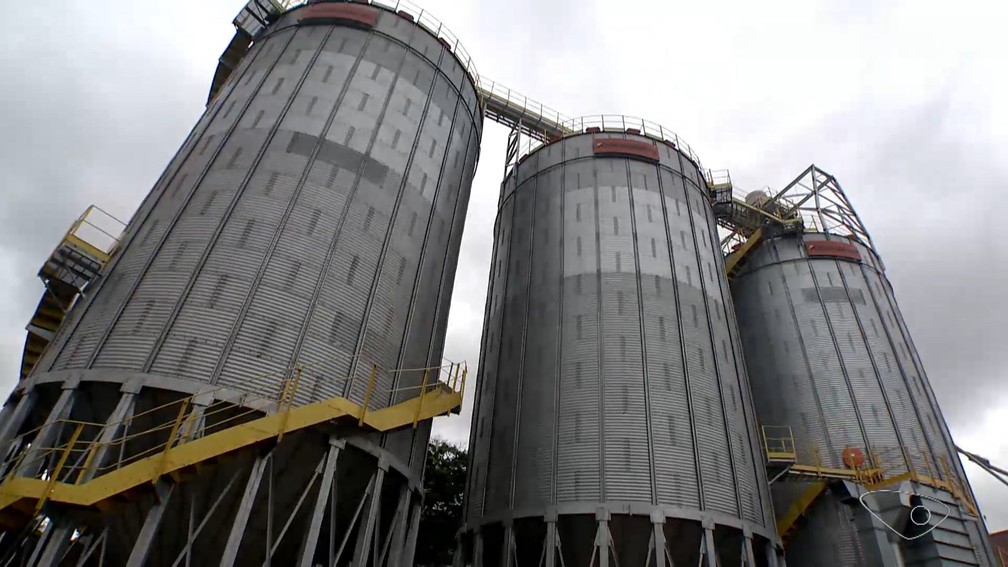 Silos de armazenamento de café verde que será transformado em café solúvel — Foto: Reprodução/TV Gazeta