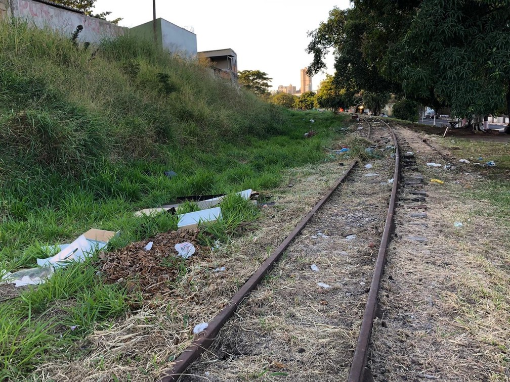 Ferrovia está abandonada na região de Presidente Prudente  — Foto: Luís Augusto Pires Batista/TV Fronteira