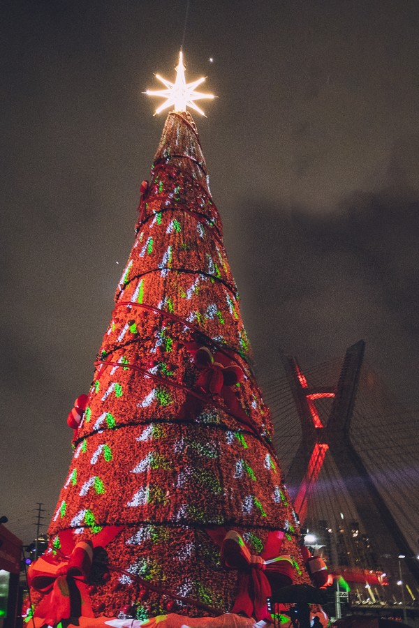 Tradicional árvore de Natal do Ibirapuera muda de endereço (Foto: Flashbang)