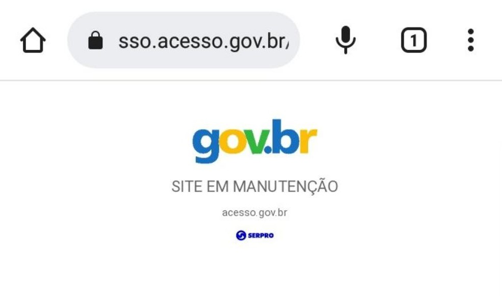 Plataforma gov.br apresenta instabilidade nesta terça (25) — Foto: Reprodução