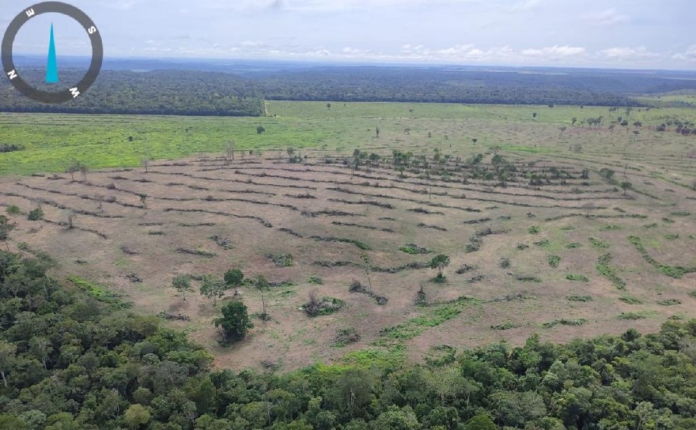 Imagens de satélite emitem alertas sobre desmatamentos — Foto: Sema-MT