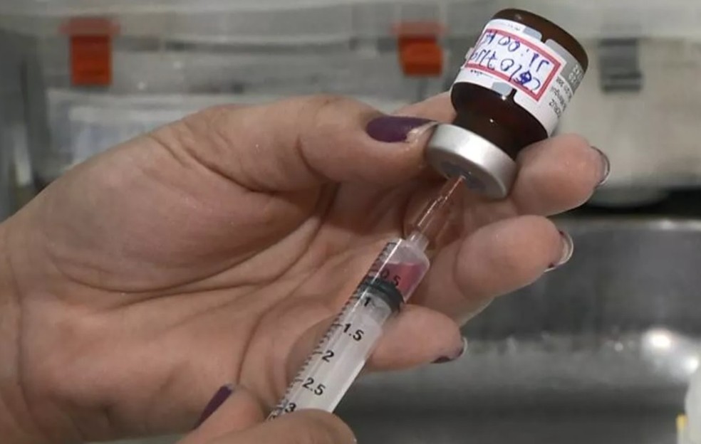 Vacina contra sarampo será aplicada no 'Dia D', no sábado (30) — Foto: Reprodução/TV Globo 