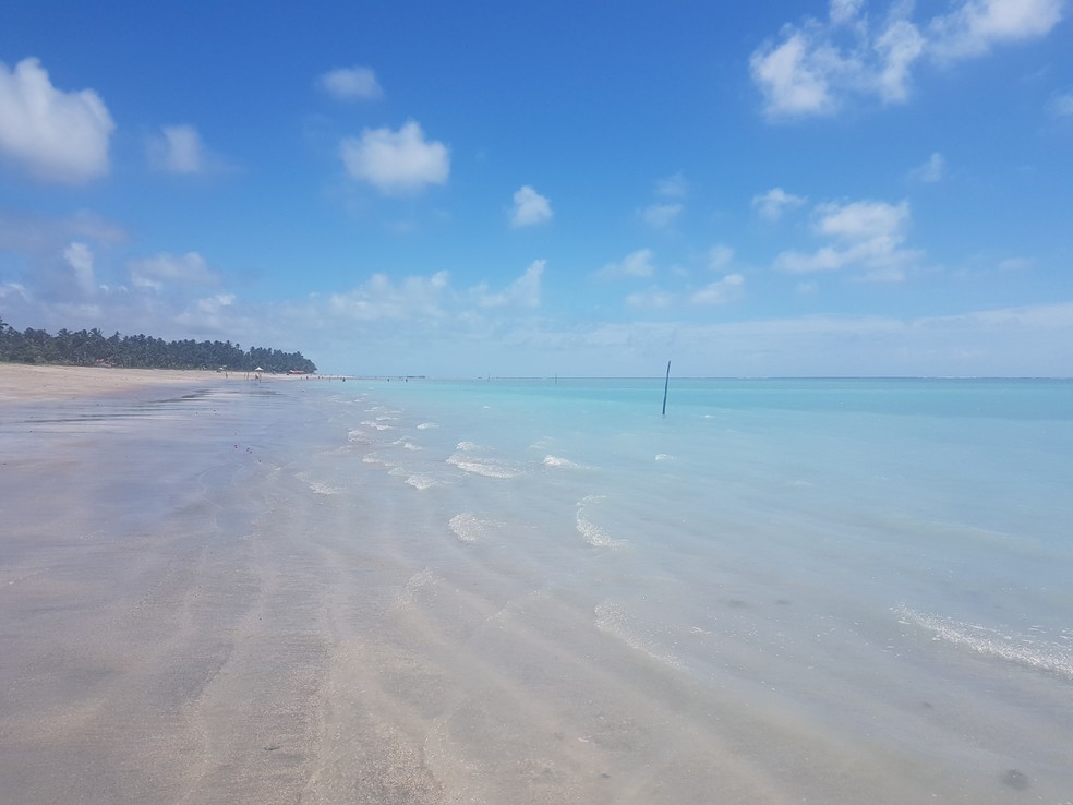 Praia de Barra Grande, onde fica a Pousada RiiA, em Maragogi, Alagoas — Foto: Divulgação