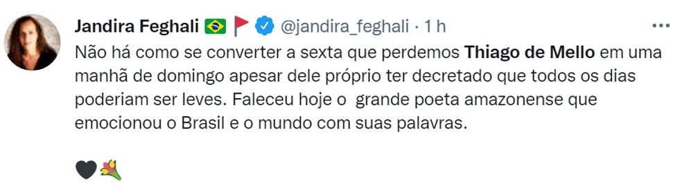Deputada também comentou.  — Foto: Reprodução/Twitter